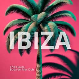 IBIZA Mix: High-Energy Anthems to Light Up the Dance Floor - Chili House