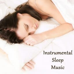 Instrumental Sleep Music - The O'Neill Brothers Group