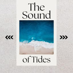The Sound of Tides - Mayotte