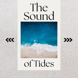 The Sound of Tides - Mayotte