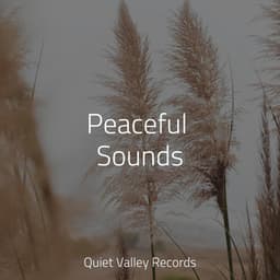Peaceful Sounds - Musique Zen Garden