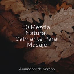 50 Mezcla Natural Calmante Para Masaje - Musica Para Estudiar Academy