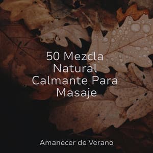 50 Mezcla Natural Calmante Para Masaje - Musica Para Estudiar Academy