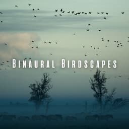 Binaural Birdscapes: Ambient Music for Meditative Bliss - Birds In The Morning