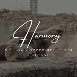 Paws & Jazz Serenity: Coffee Lounge Harmony - Morning Jazz
