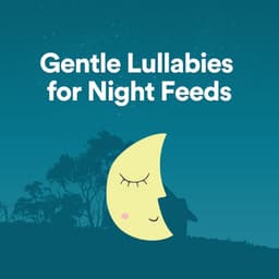 Gentle Lullabies for Night Feeds - Lullaby Orchestra