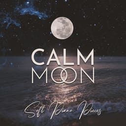 Calm Moon: Soft Piano Pieces Instrumental Music for Perfect Relaxation, Reading, Studying, Work, Sleeping - Piano Music Collection
