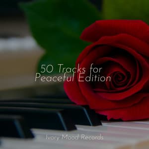 50 Tracks for Peaceful Edition - Ivory Mood
