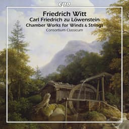 Witt: Chamber Works for Winds & Strings - Friedrich Witt