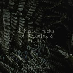50 Music Tracks for Relaxing & Pilates - ASMR HD