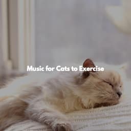 Music for Cats to Exercise - Musique de Restaurant Chic