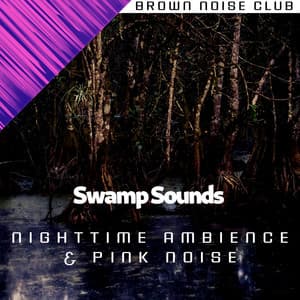 Swamp Sounds - Nighttime Ambience & Pink Noise, Loopable - Nature Sounds XLE Library