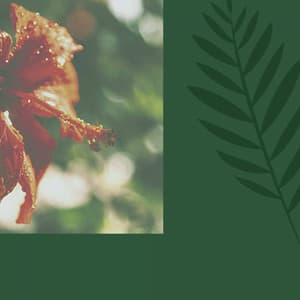 Personal Wellness - Comforting - Jazz Piano Instrumentals