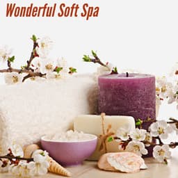 Wonderful Soft Spa - Chill Jazz Playlist