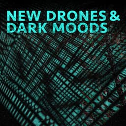 New Drones and Dark Moods - Alan Fillip