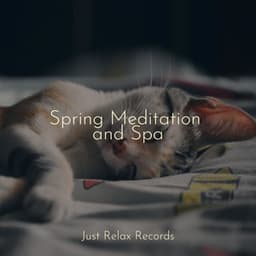 Spring Meditation and Spa - Deep Sleep Meditation