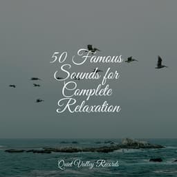 50 Famous Sounds for Complete Relaxation - Schlaflieder Relax