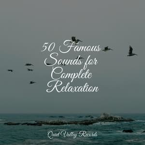 50 Famous Sounds for Complete Relaxation - Schlaflieder Relax
