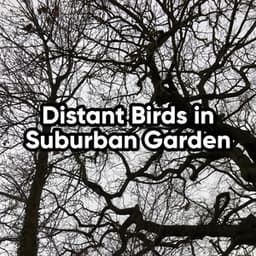 Distant Birds in Suburban Garden - Bird Sound Collectors