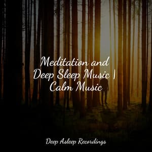 Meditation and Deep Sleep Music | Calm Music - Binaural Beats Brain Waves Isochronic Tones Brain Wave Entrainment