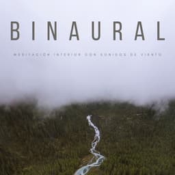 Binaural: Meditación Interior Con Sonidos De Viento - Latidos Binaurales Puros