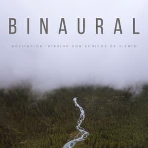 Binaural: Meditación Interior Con Sonidos De Viento - Latidos Binaurales Puros
