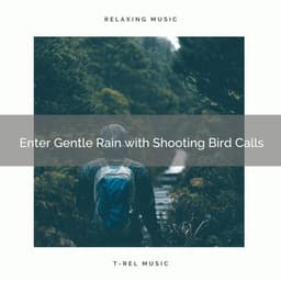 1 Enter Gentle Rain with Shooting Bird Calls - Deep Rain Sampling