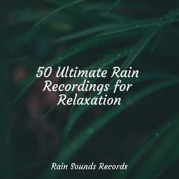 50 Ultimate Rain Recordings for Relaxation - Musica para Bebes
