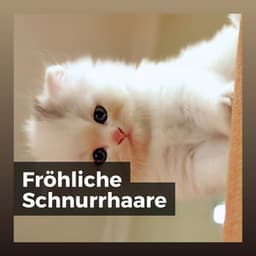 Fröhliche Schnurrhaare - Katzenmusik