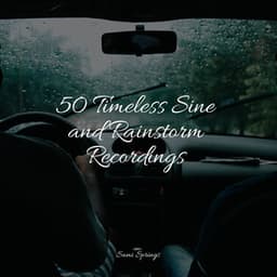 50 Timeless Sine and Rainstorm Recordings - Rain Shower Spa