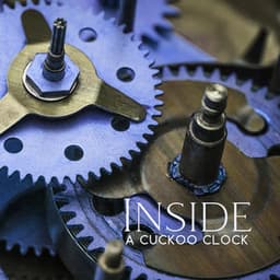 Inside A Cuckoo Clock - Tik Tok A Clock