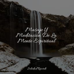 Masaje Y Meditación De La Mente Espiritual - Academia de Meditação Buddha