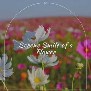 Serene Smile of a Flower - Healing Music Spirit