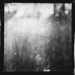 1 Ambient: Uplifted Vibrations - Lofi Chill