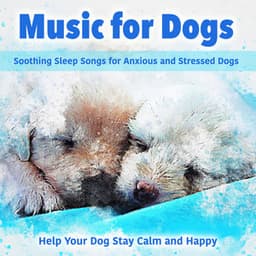 Music for Dogs: Soothing Sleep Songs for Anxious and Stressed Dogs - Help Your Dog Stay Calm and - Relaxmydog