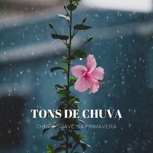Tons De Chuva: Chuva Suave Da Primavera - Música de Relaxamento No Spa