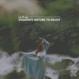 Exquisite Nature to Enjoy - Natural Sound Makers