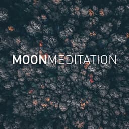 Yoga Music - Moon Tunes