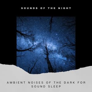 Ambient Noises of the Dark for Sound Sleep - Sounds of the Night