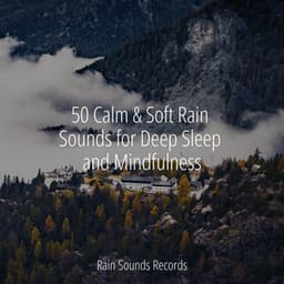50 Calm & Soft Rain Sounds for Deep Sleep and Mindfulness - Sons da Natureza