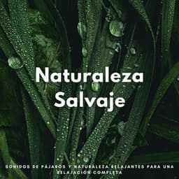 Naturaleza Salvaje: Sonidos De Pájaros Y Naturaleza Relajantes Para Una Relajación Completa - Pajaritos Cantando