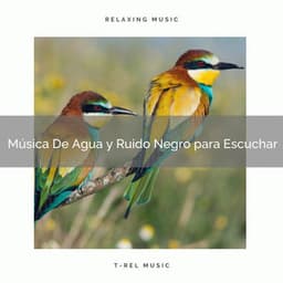Música De Agua y Ruido Negro para Escuchar - Ruido Para Bebé