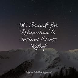 50 Sounds for Relaxation & Instant Stress Relief - Meditative Music Guru