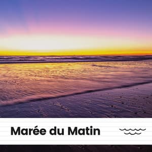 Marée du Matin - Oasis de sommeil