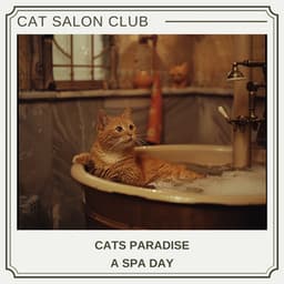 Cats Paradise: A Spa Day - Cat Salon Club