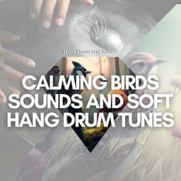 Calming Birds Sounds and Soft Hang Drum Tunes - Hang Drum and Nature