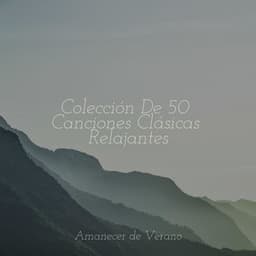 Colección De 50 Canciones Clásicas Relajantes - Meditation Spa