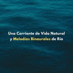 Una Corriente De Vida Natural Y Melodías Binaurales De Río - Sonidos de agua dulce para la paz interior