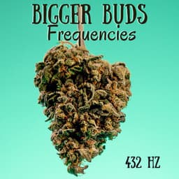 432 Hz Bigger Buds Frequencies: Solfeggio Frequency for Cannabis Growth - Plant Music Paradise
