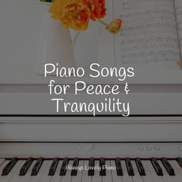 Chillout Massage Music - Romantic Piano Music